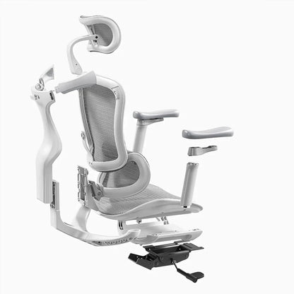 Doro C300 Pro Chaise de bureau ergonomique
