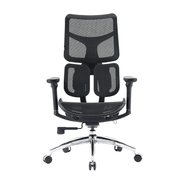 Doro S100 Chaise de bureau ergonomique