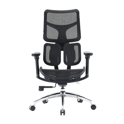 Doro S100 Chaise de bureau ergonomique