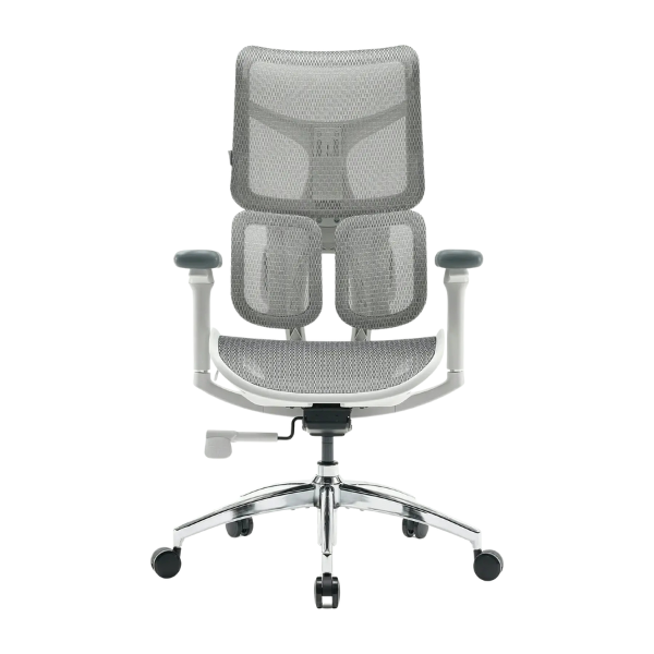 Doro S100 Chaise de bureau ergonomique