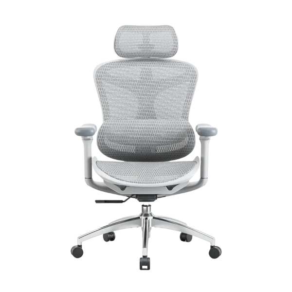 Doro C300 Chaise de bureau ergonomique